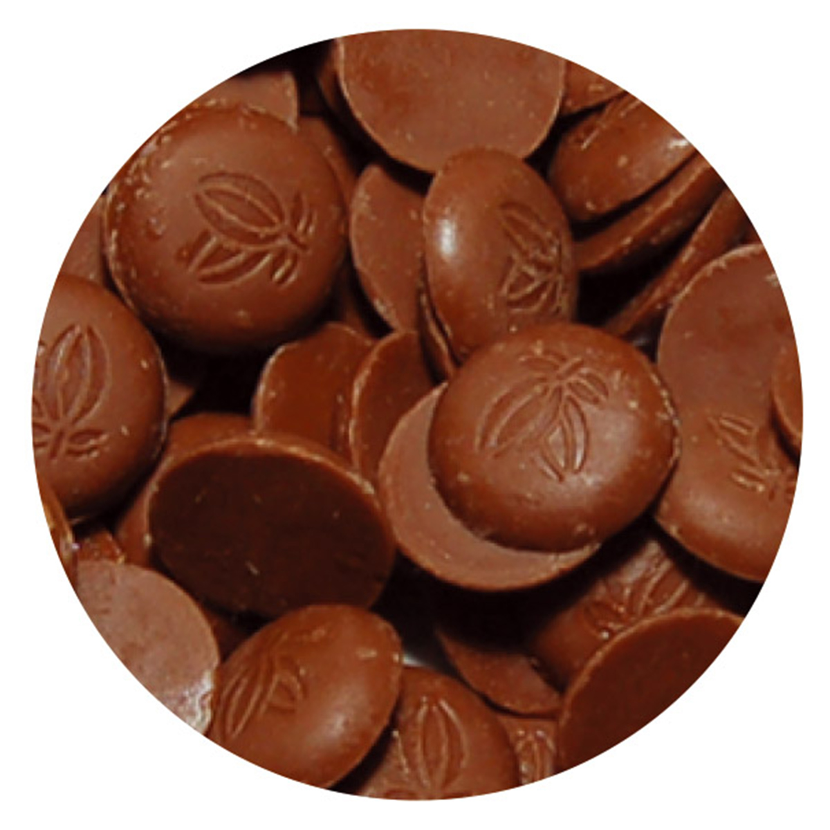 ミルク・Tブランドの1/12スケール アンブラ(ミルク) ロンドタイプ（500g×2）|中沢乳業 e-shop