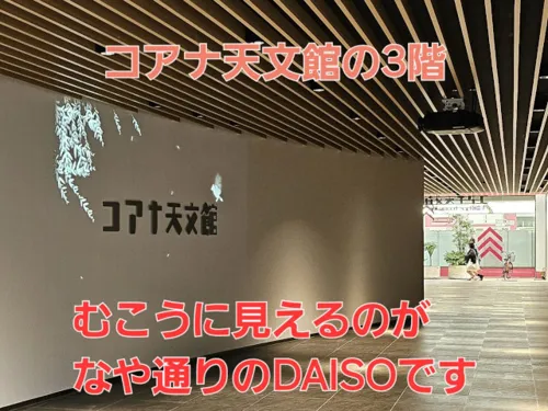 【天文館すぐ|鹿児島出身の女性弁護士が対応】藏元衣子法律事務所_サブ2