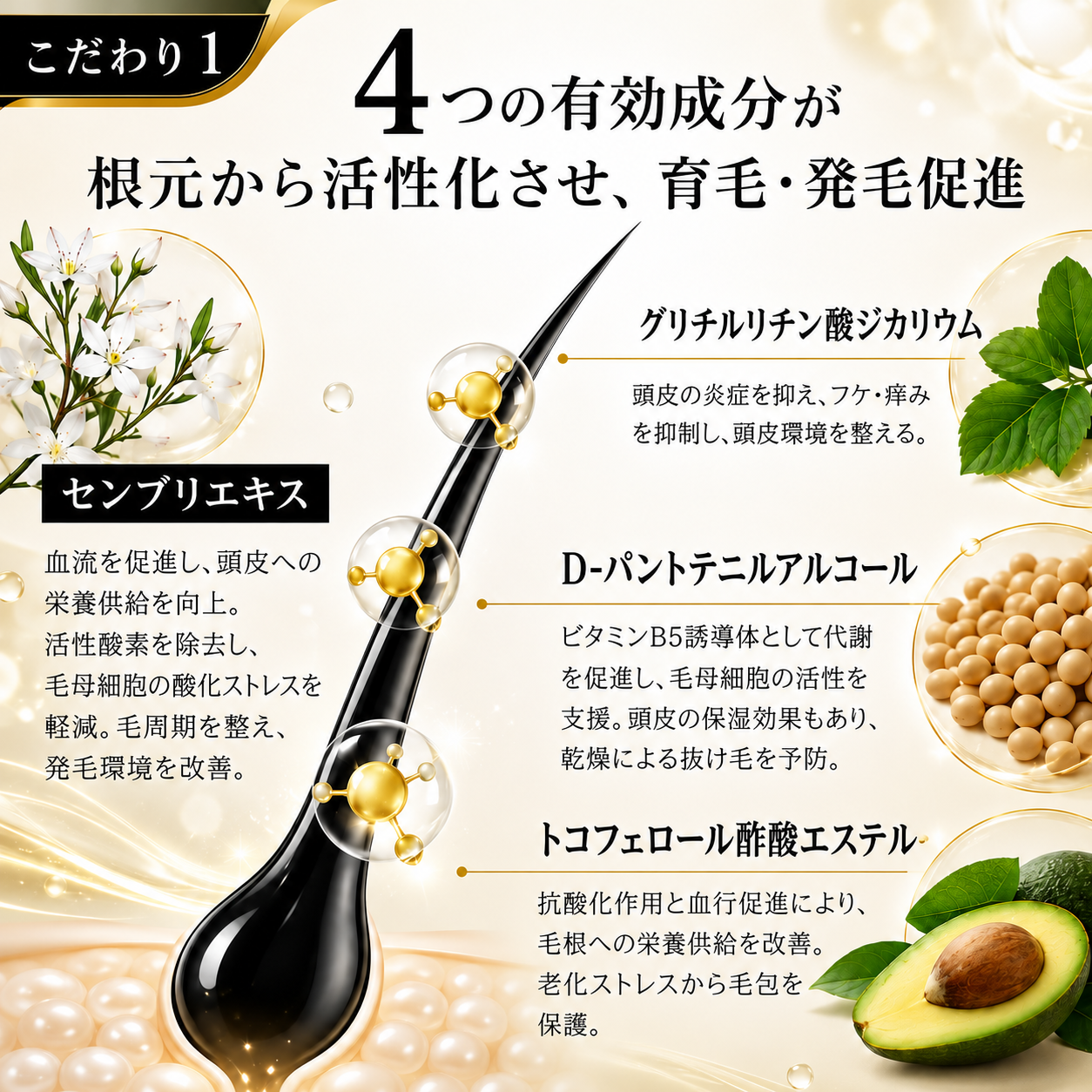 Winnow 薬用育毛剤SPRING3本 育毛剤女性 育毛剤男性 ギフトボックス
