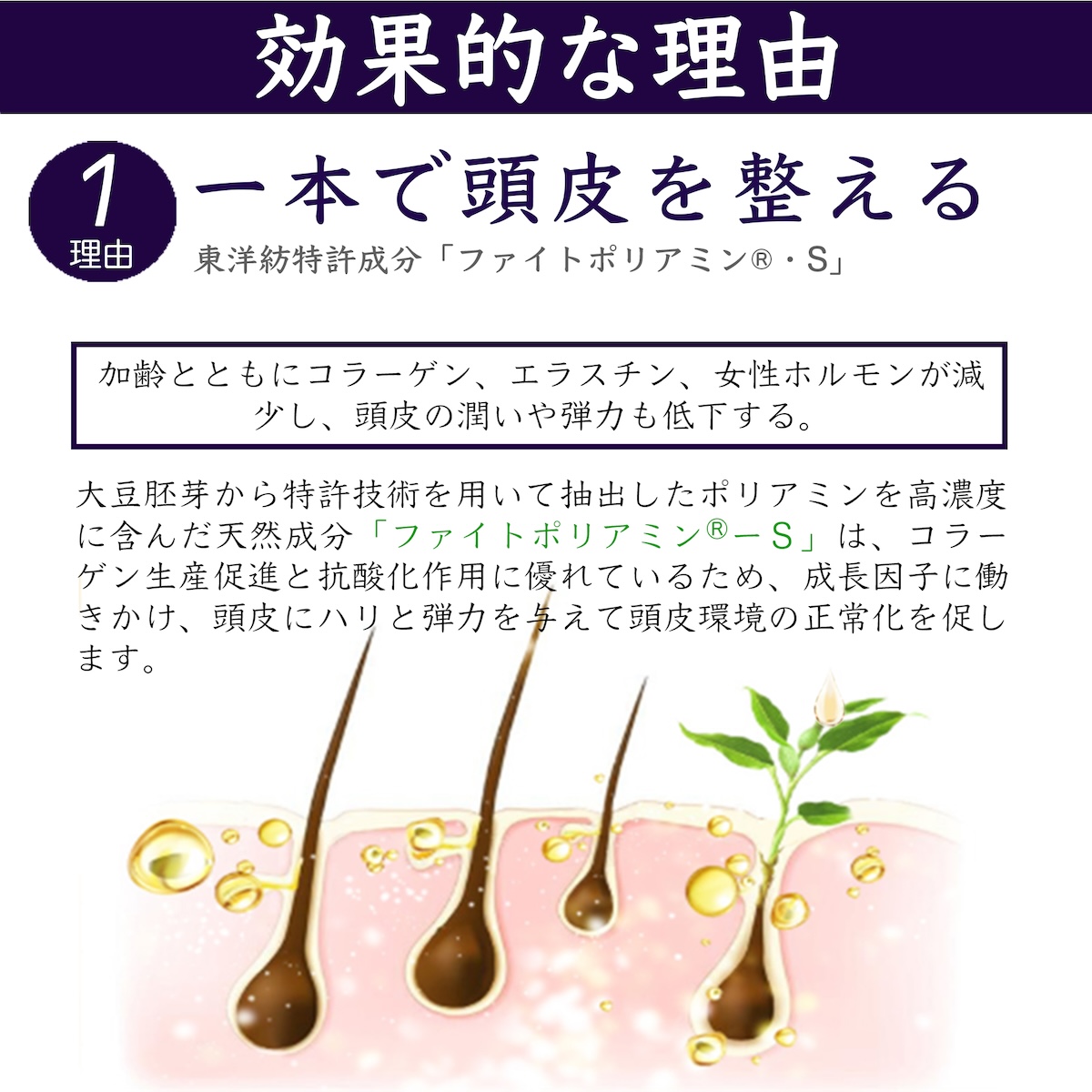 薬用育毛エッセンSPRING 育毛剤 リニュアール育毛 発毛促進