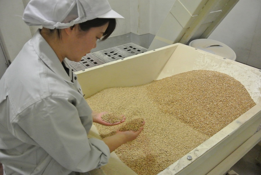 ビールの奥深さと出会うきっかけになる ビール造りを目指して-コエドブルワリ-松本みなみさん