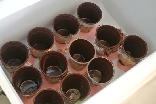 チョコレートグラス