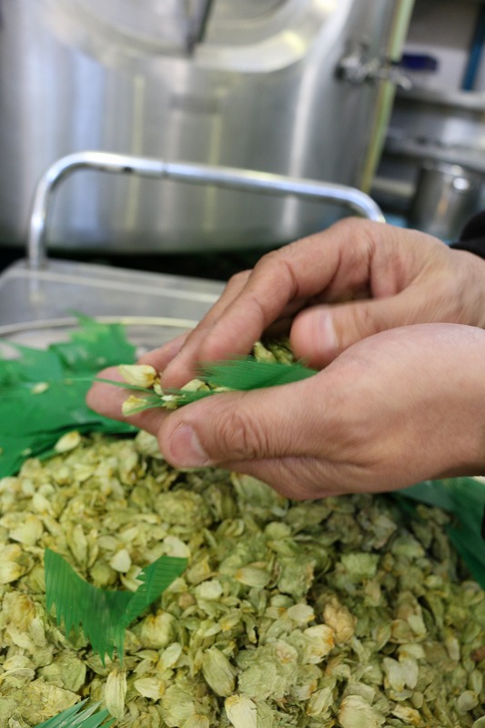 バランエール　サンクトガーレン　エイプリルフール