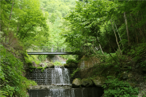 星空のビアガーデン　玉川キャンプ村