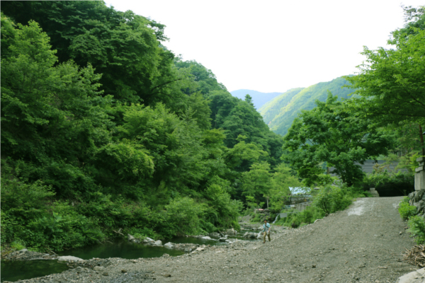 星空のビアガーデン　玉川キャンプ村