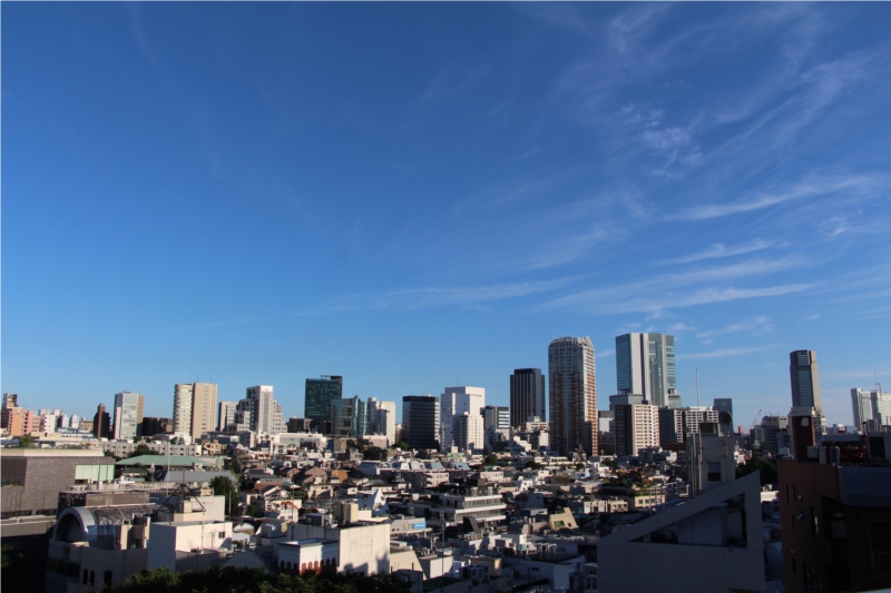 おもはらの森 原宿 よなよな Spotwright