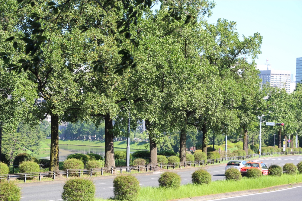 Spotwright グランドアーク半蔵門 パティオ