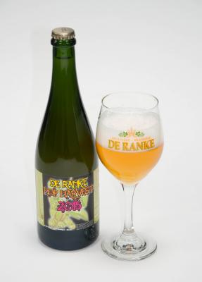 ホップ・ヌーヴォー　ホップハーベスト2015