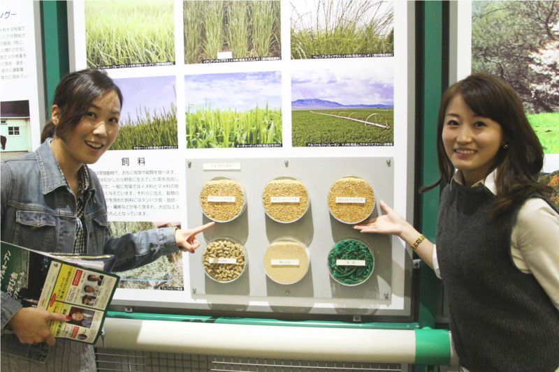 東京競馬博物館