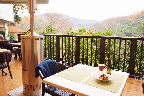 画像:樹ガーデン(ビアライターみつき『今日もどこかでソロび~る』)