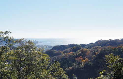 画像:樹ガーデンへの道(ビアライターみつき『今日もどこかでソロび~る』)