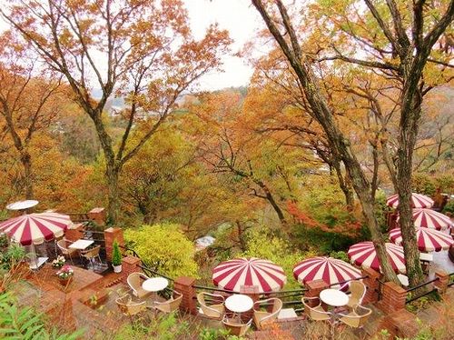 画像:樹ガーデン(ビアライターみつき『今日もどこかでソロび~る』)