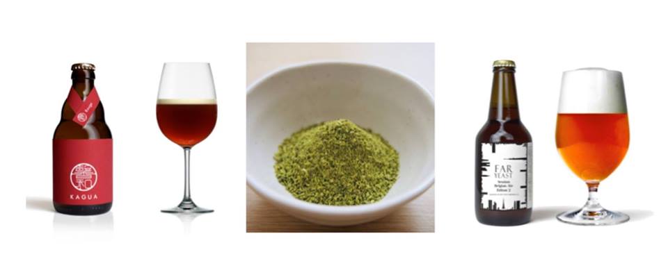 12928234_207297642981170_1217296704027700460_n