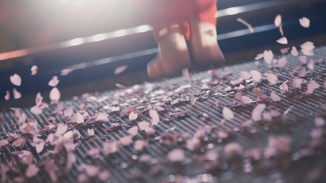 ヤッホーブルーイング よなよなエール 動画 ムービー