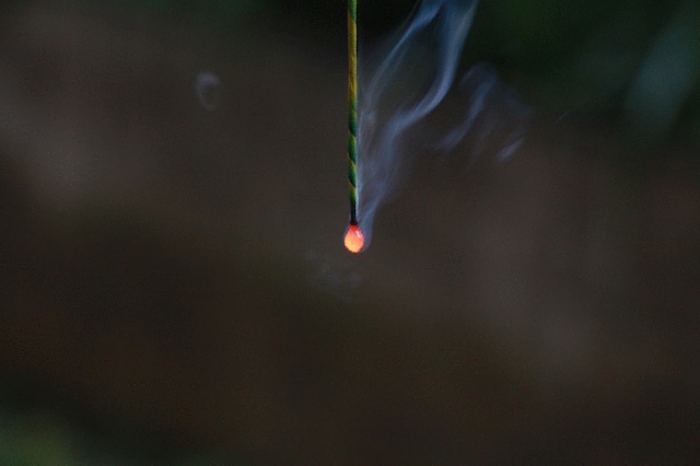 14695150032gFcRyMmr36VXrG1469515001