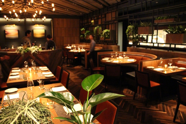 渋谷　CRISTA　TYハーバー　タイソンズアンドカンパニー