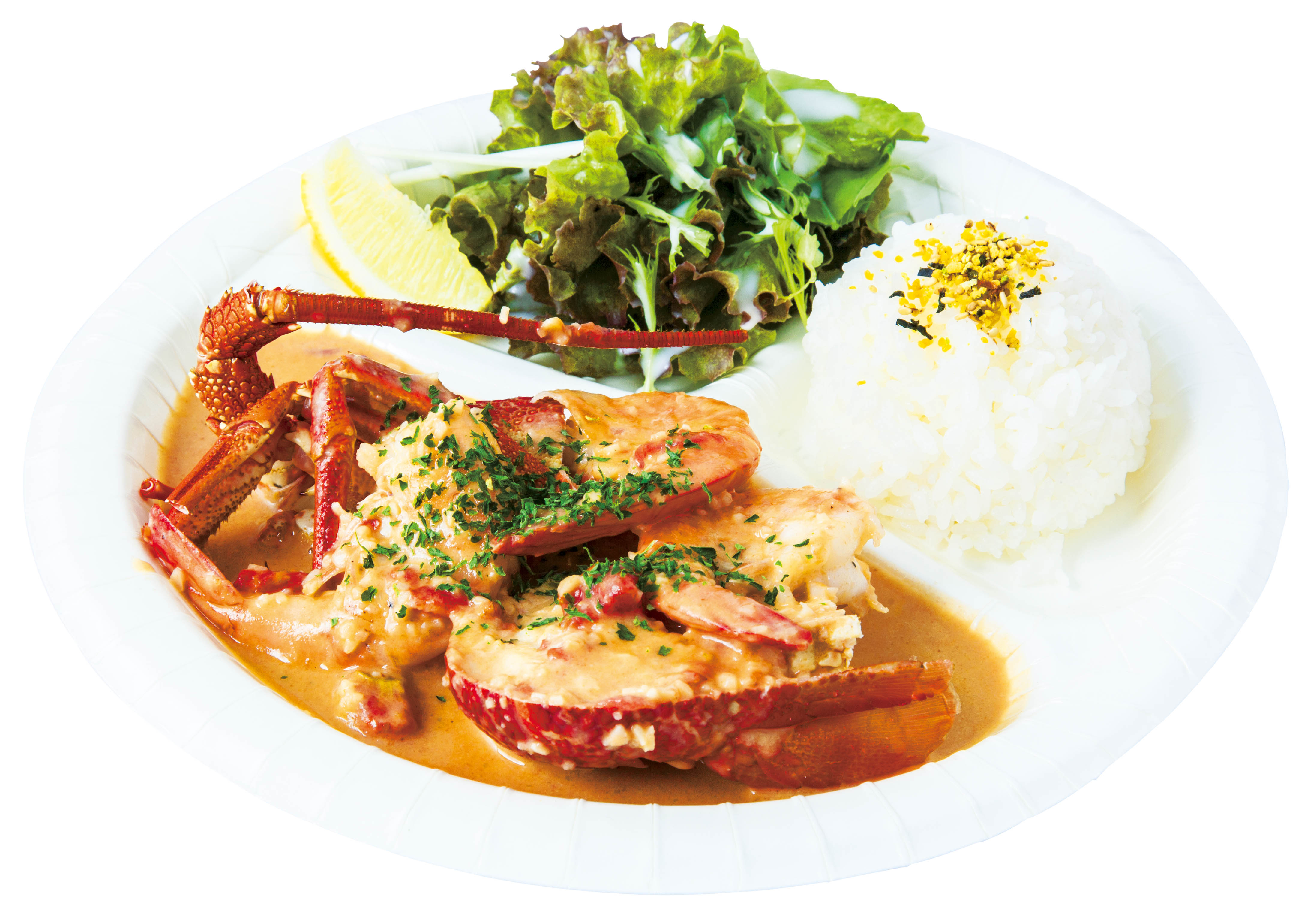 hawaii-festival-odaiba