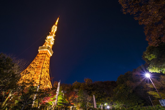 6 17 キャンドルのもとでビールを 100万人のキャンドルナイト 増上寺17 ビール女子