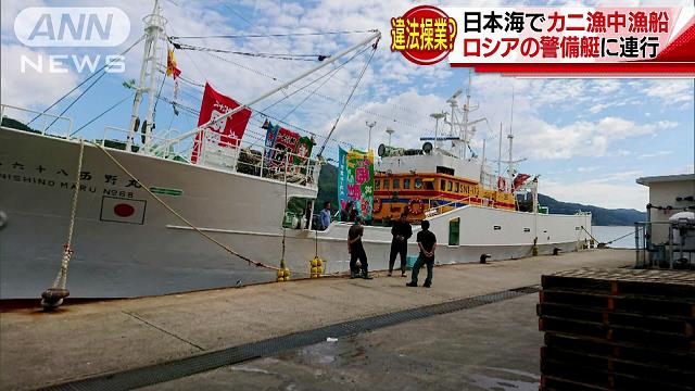 難しい クリック マラドロイト カニ 漁 ロシア Kasugano The Top Jp