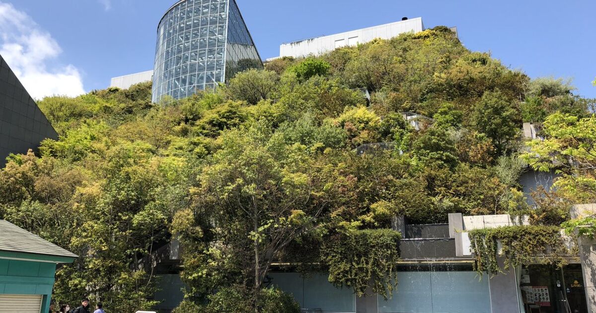 アクロス福岡 という建物 25年前の竣工から 60年後に森になる という構想で作られたらしい 今や動物も住んでるし階段で上れて素敵 Togetter ニュートピ Twitterで話題のニュースをお届け