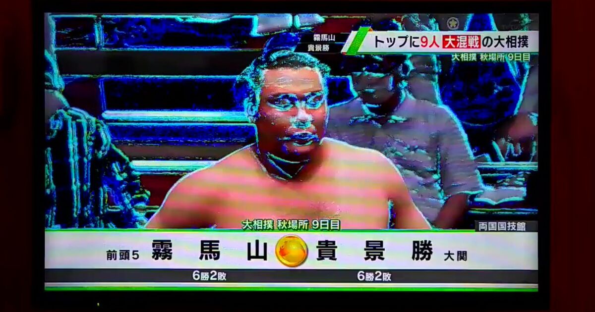 宿泊先のホテルのテレビがサイバーなバグり方をしており 電脳世界での相撲が中継されていた おそらくsumou 相撲が無修正 だと Togetter ニュートピ Twitterで話題のニュースをお届け