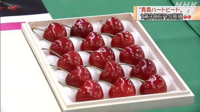 青森ハートビート 初競り 1箱30万円 さくらんぼの新品種 Nhkニュース ニュートピ Twitterで話題のニュースをお届け