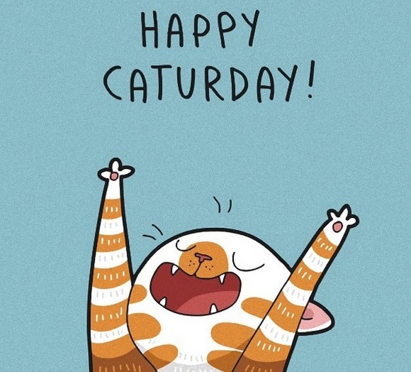 猫飼い納得 猫あるある をユーモラスに表現したイラストに世界が共感 カラパイア ニュートピ Twitterで話題のニュースをお届け