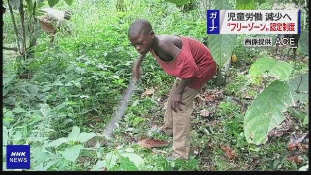 ガーナで「児童労働フリーゾーン」認定制度創設 JICA  NHKニュース 