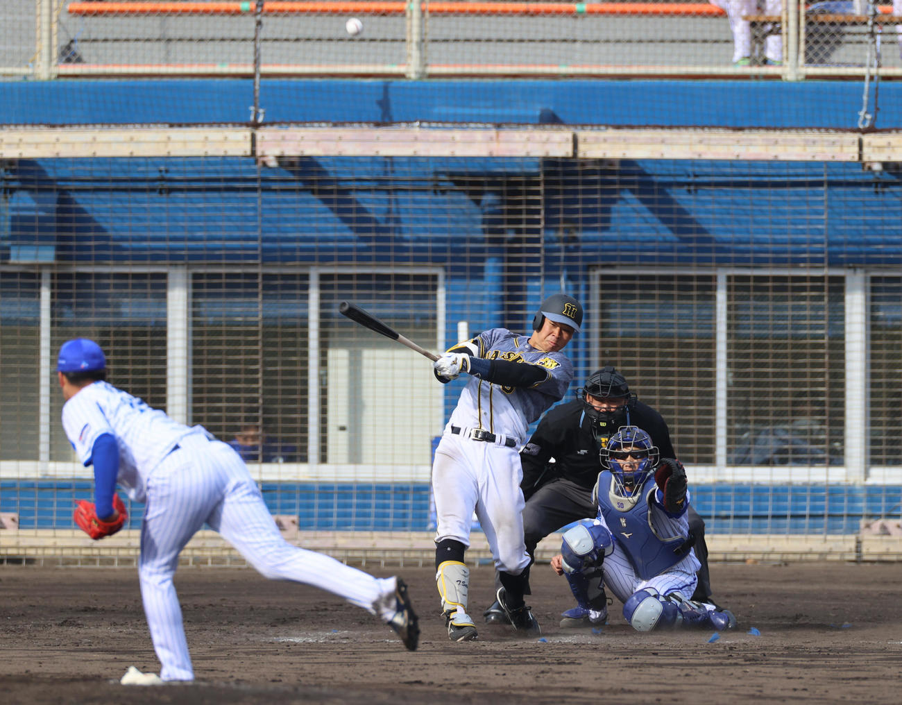 佐藤輝特大ツーラン含む4安打4打点 練習試合詳細 プロ野球ライブ速報写真ニュース 日刊スポーツ ニュートピ Twitterで話題のニュースをお届け