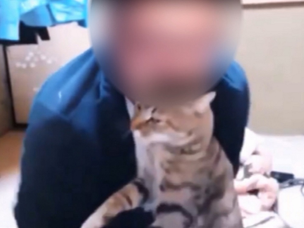 猫の首を噛み叩く 猫虐待する動画をyoutubeに 41歳男書類送検へ 視聴者楽しませるため Fnn Jpプライムオンライン ニュートピ Twitterで話題のニュースをお届け