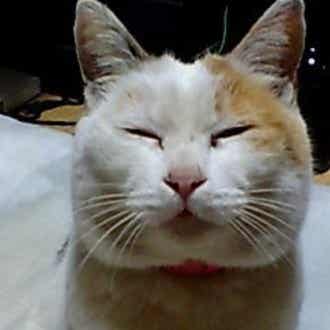 10/5 菅野完氏の日本学術会議への人事介入に抗議するハンストにおける 