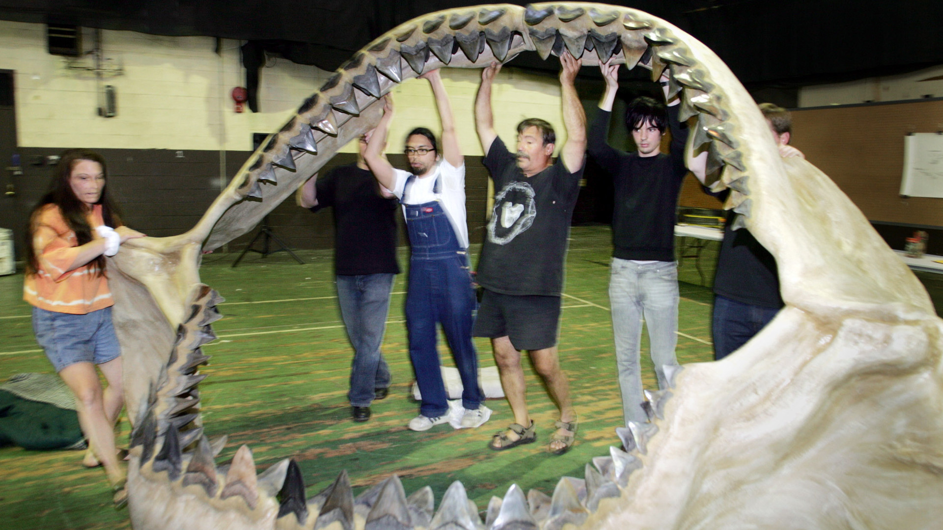 古代巨大ザメ メガロドン はいつ絶滅したか 石田雅彦 個人 Yahoo ニュース ニュートピ Twitterで話題のニュースをお届け