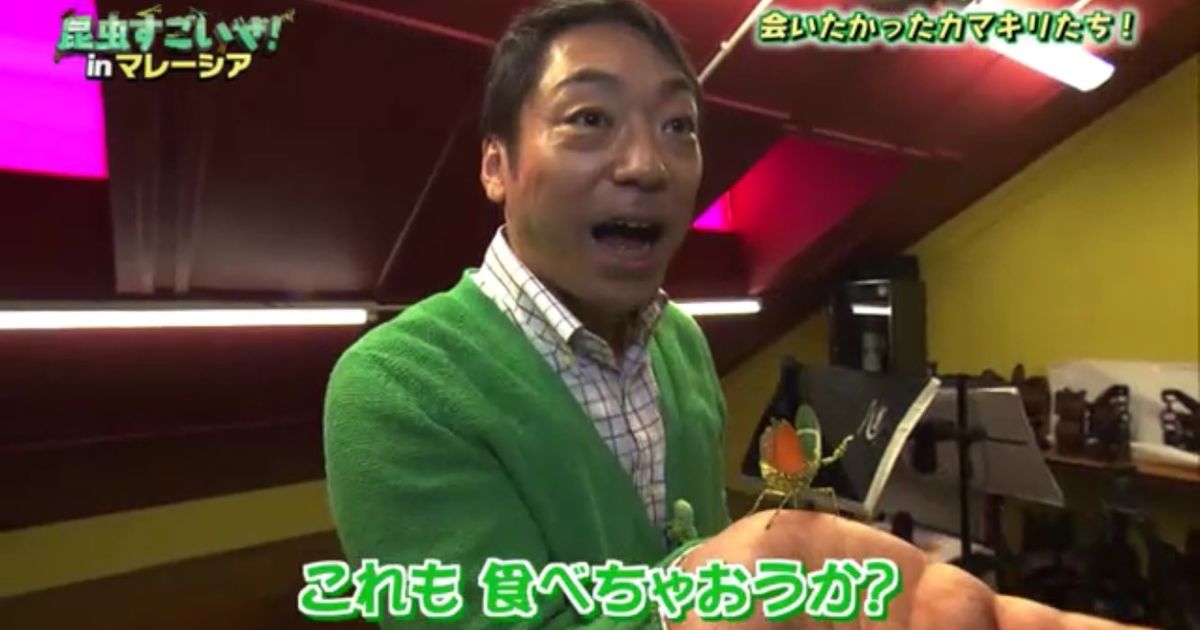 カマキリ先生マレーシアへ行く 香川照之さんカマキリ愛が溢れすぎて 食べちゃいたい 口に入れて持って帰りたい 昆虫すごいぜ Togetter ニュートピ Twitterで話題のニュースをお届け