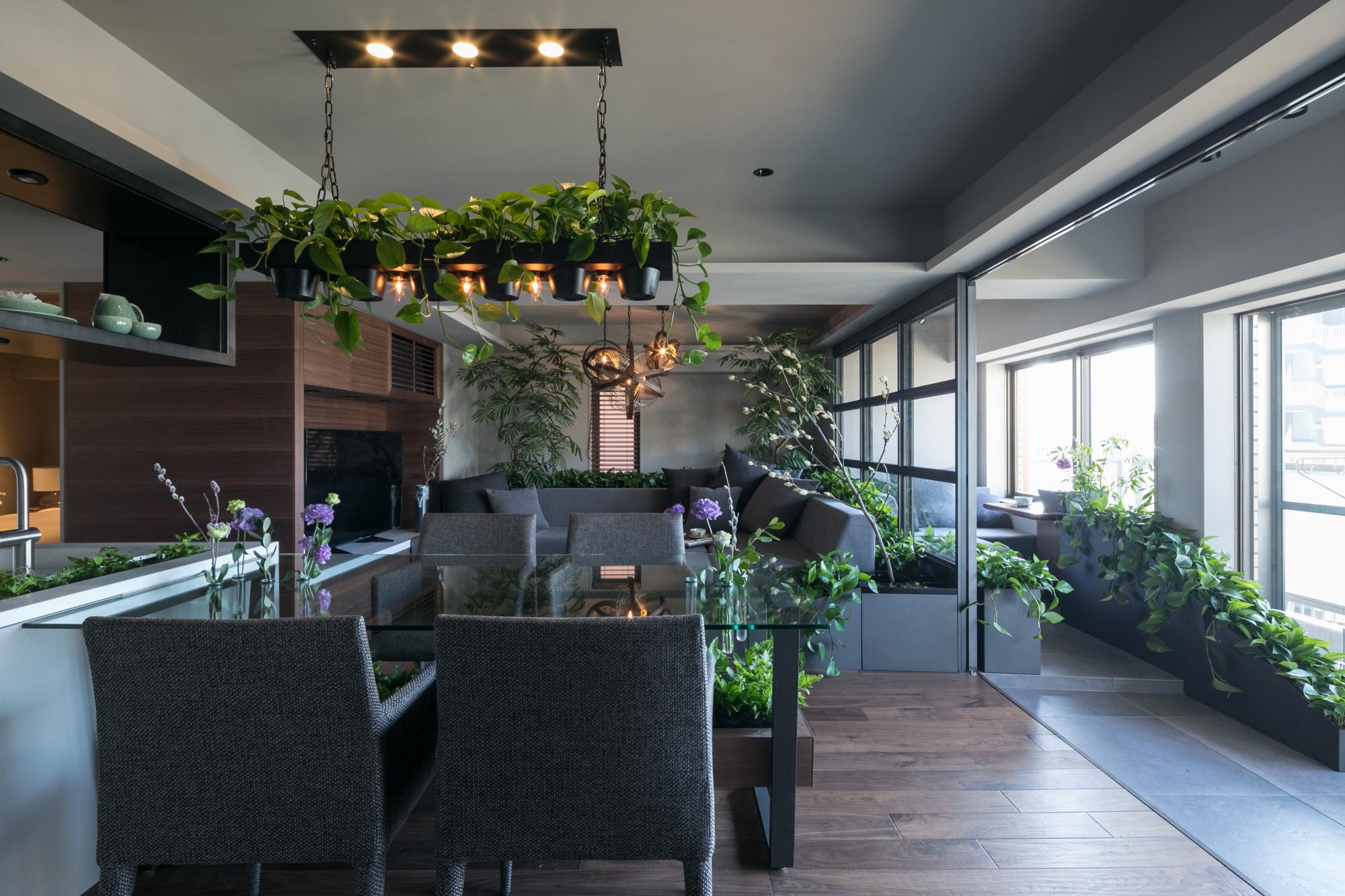 植物と一緒に暮らす家のリノベーション事例