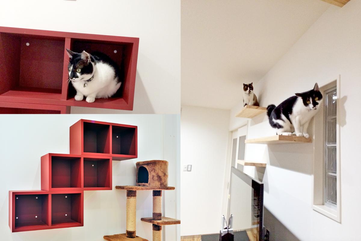 愛猫も孫も走り回ってほしいという思いで実現された広々リビングのリノベーション事例