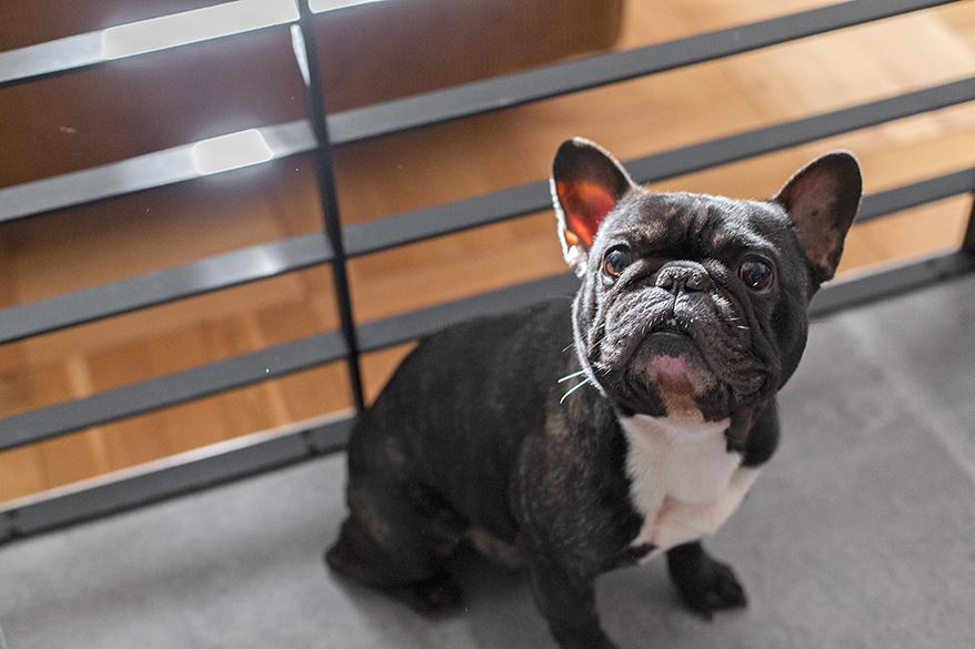 ケージの概念を覆すリノベーションが実現のリノベーション事例