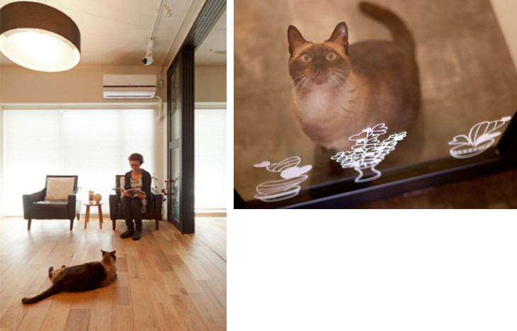 おしゃれなカフェ空間と愛猫との共存のリノベーション事例