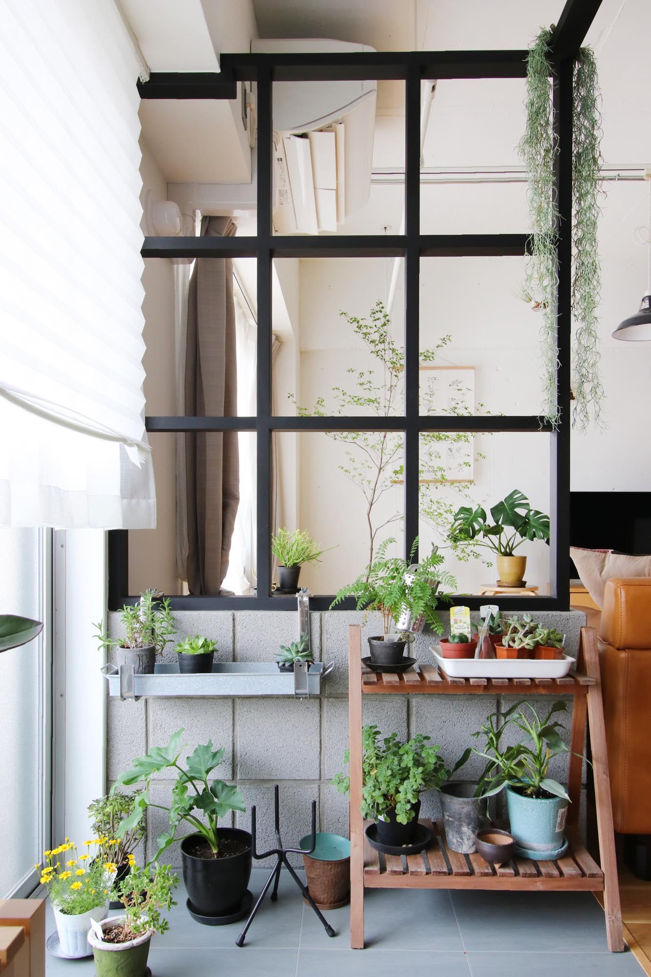 植物が主役のスペースを持つ贅沢のリノベーション事例