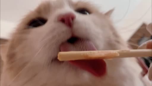 るな