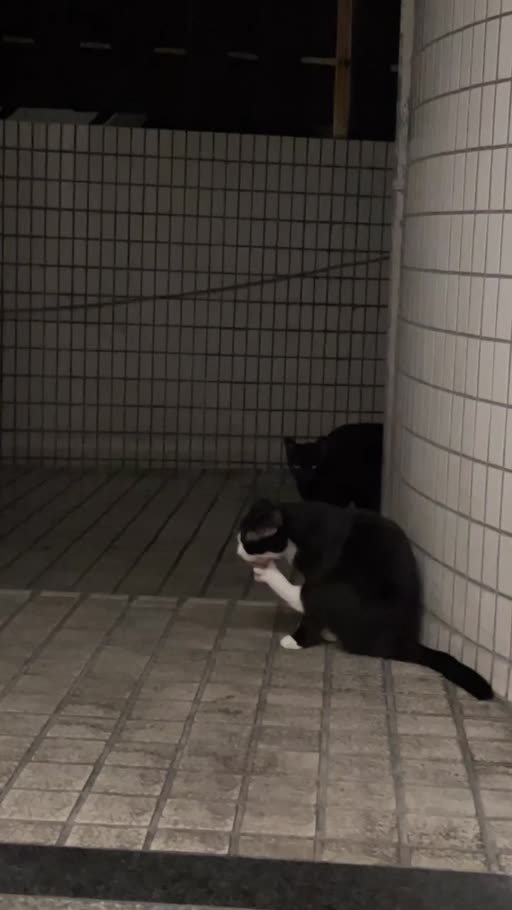あめ 。