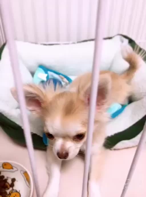 愛乃 悠稀