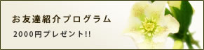お友達紹介プログラム