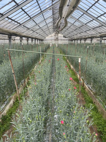 JOB_THUMBNAIL_DEFAULT