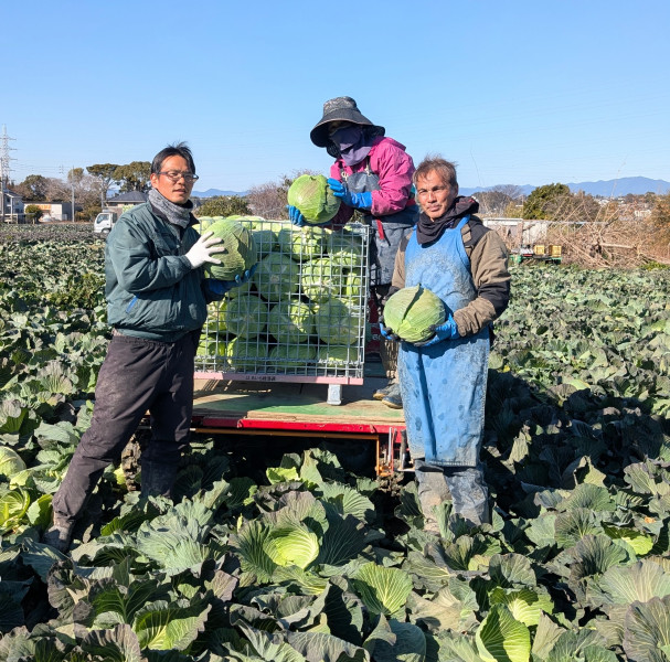 JOB_THUMBNAIL_DEFAULT