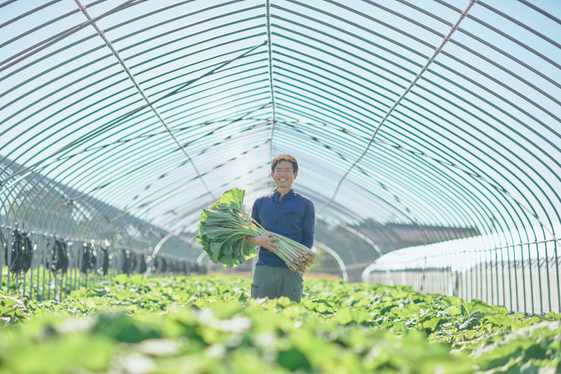 JOB_THUMBNAIL_DEFAULT