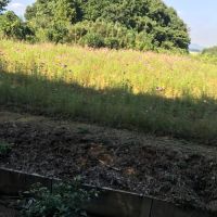 ユウキ・プリンス