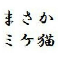 まさかミケ猫