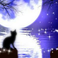 ノベルバユーザー206733