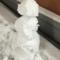 かねいまもく
