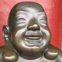 ブラックジャック